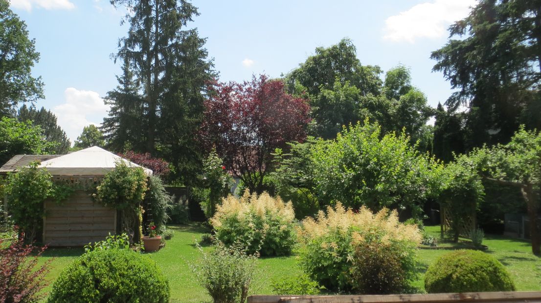 Erstbezug im Syratal: Moderner Energieeffizienz-Bungalow mit XXL-Terrasse u. Carport - Photo 3